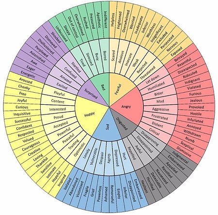 Items of interest & information. Feelings Wheel